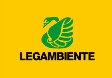 Legambiente chiede spiegazioni sulla capitozzatura selvaggia degli alberi