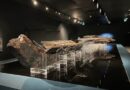 Musei e parchi archeologici siciliani, l’allarme di Italia Nostra: «carenze di personale e sistemi di sorveglianza inadeguati»