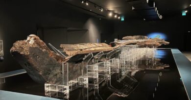 Musei e parchi archeologici siciliani, l’allarme di Italia Nostra: «carenze di personale e sistemi di sorveglianza inadeguati»